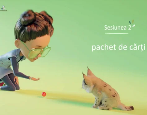 CLICKS ON ACT CARUSEL 2