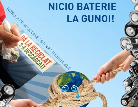 NICIO BATERIE CARUSEL 1