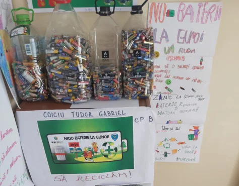 NICIO BATERIE CARUSEL 8
